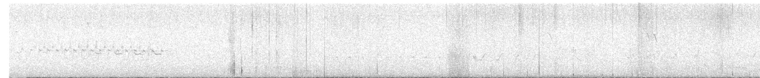 bělořit plavý - ML636781345