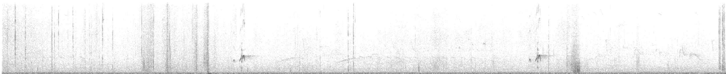 Ash-throated Flycatcher - ML636783106