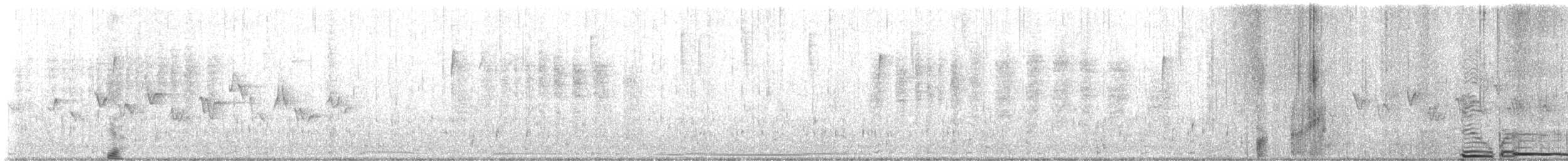 White-tipped Dove - ML636783873