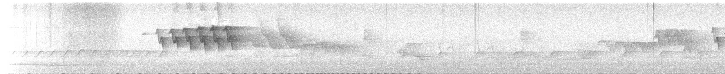 American Redstart - ML636784984