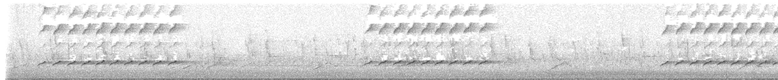 Méliphage à oreillons bleus - ML636785386