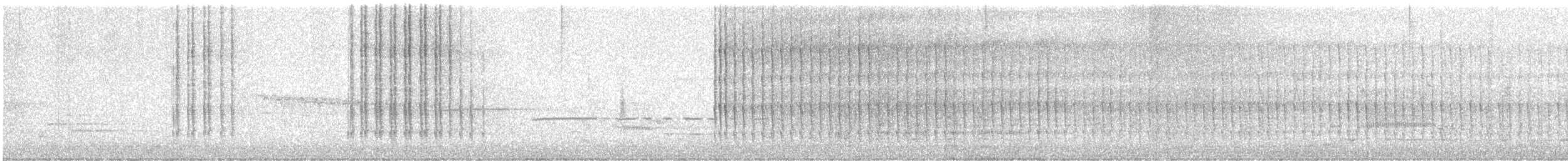 Belted Kingfisher - ML636787888