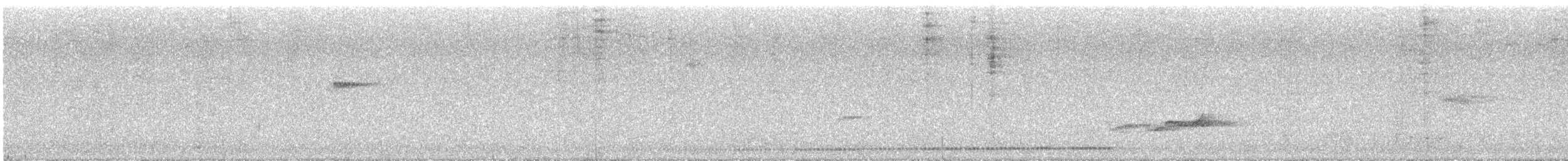 White-breasted Tapaculo - ML636788059