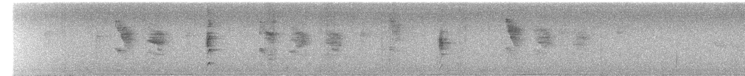 Star-throated Antwren - ML636788130