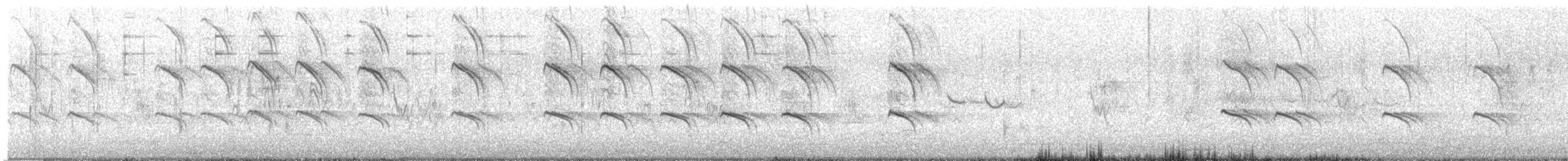 Great-tailed Grackle - ML636788228