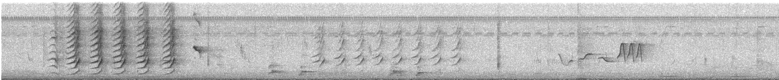 Great-tailed Grackle - ML636788528