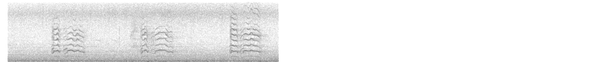 オオハシアジサシ - ML636788762