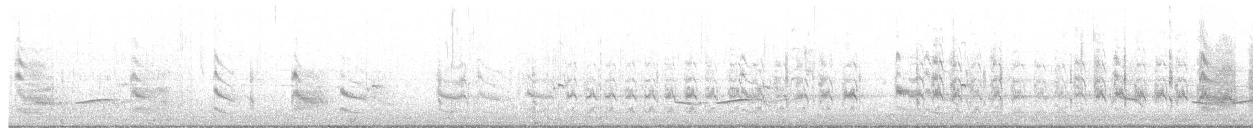 Forster's Tern - ML636790425