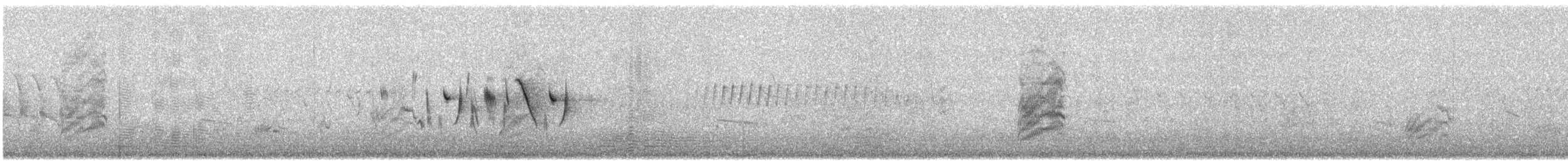 Bruant de Bell - ML636791389