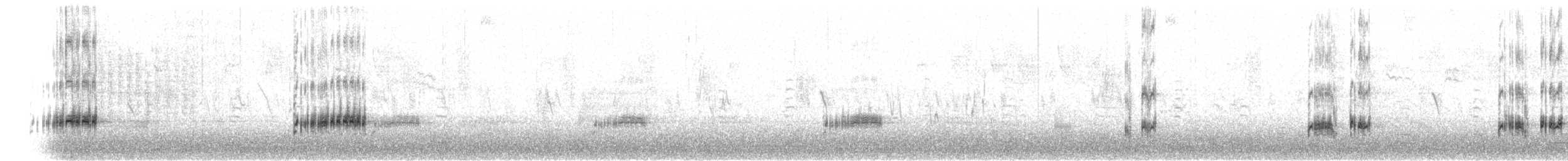 Clark's Grebe - ML636791945