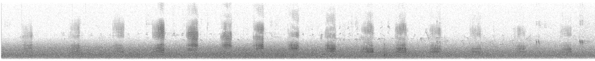 Stockente - ML636792487
