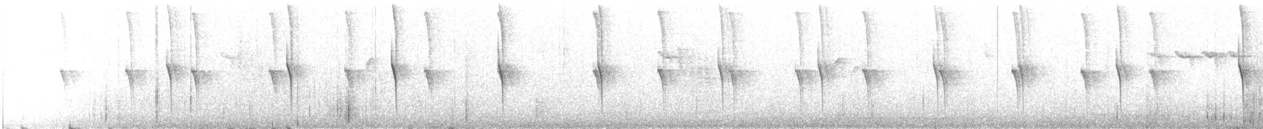 Rivoli's Hummingbird - ML636793016