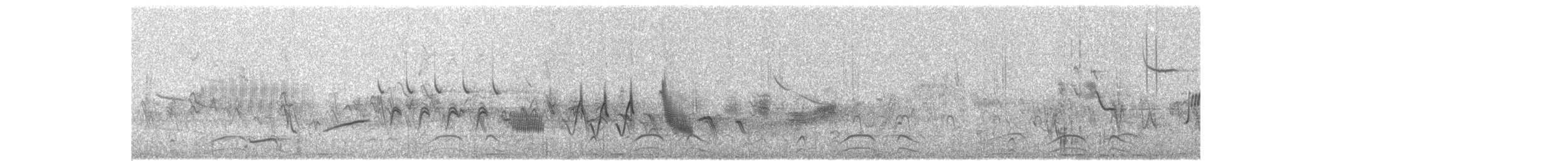 California Quail - ML636793767