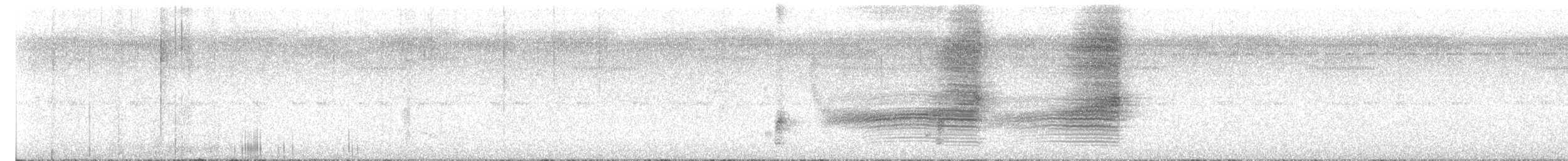 Shining Flycatcher - ML636795787