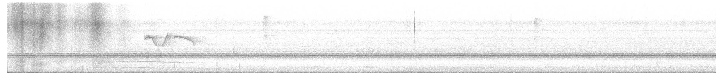 Greenish Elaenia - ML636796156