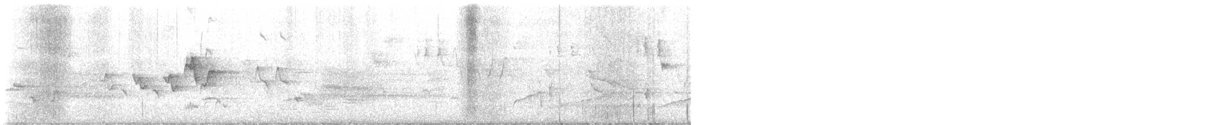Magnolia Warbler - ML636796274