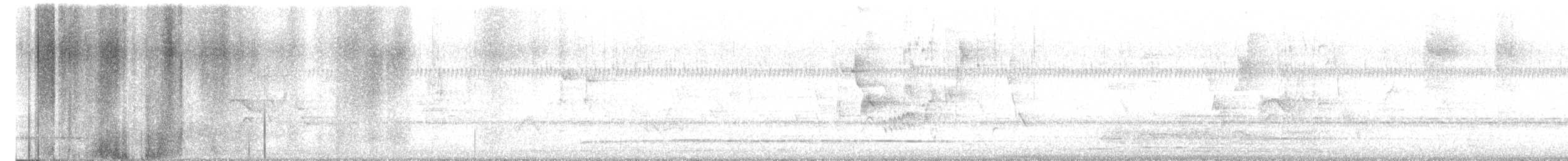 hummingbird sp. - ML636796816