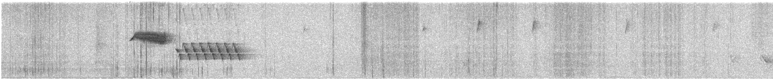 Bewick's Wren - ML636797127