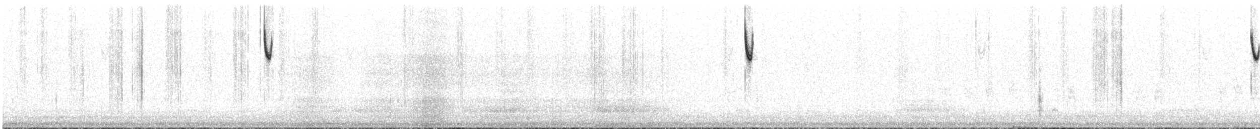 ムナフヒメドリ - ML636797162