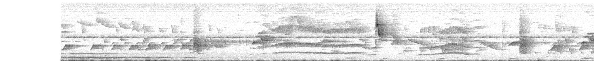 Black-striped Sparrow - ML636797336