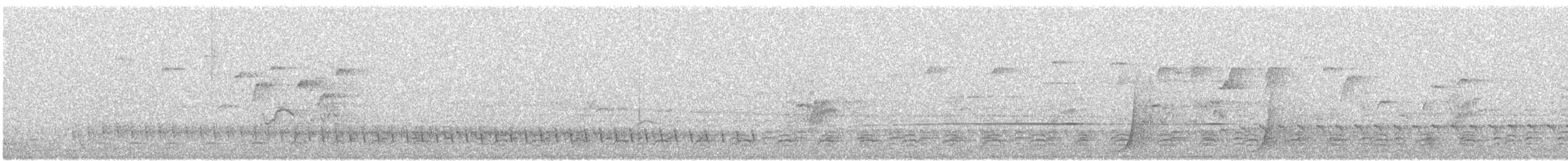 White-bellied Sea-Eagle - ML636799607