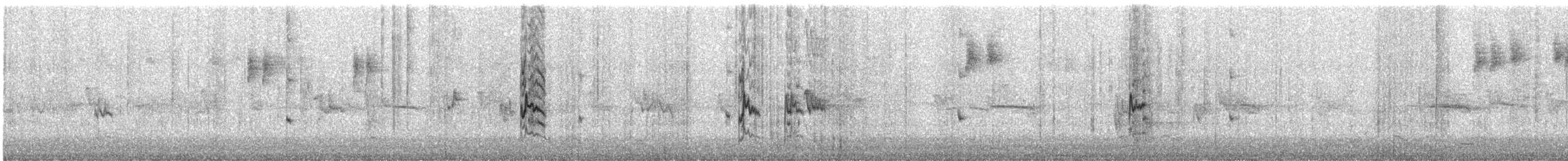 Silvereye - ML636799920