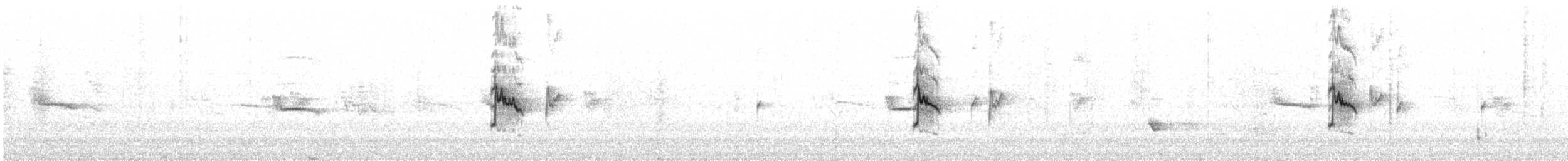 Silvereye - ML636799973