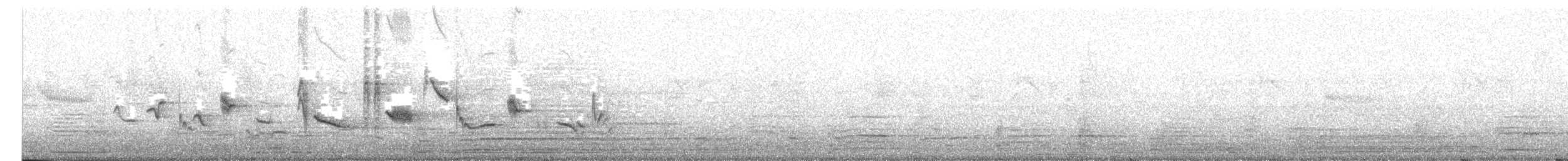 hagetrupial (spurius) - ML636800144