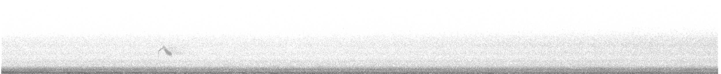 קיכלי אפור-לחי - ML636800660