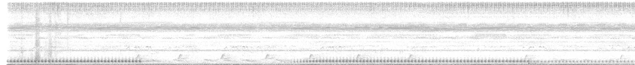 Lesser Nighthawk - ML636801291