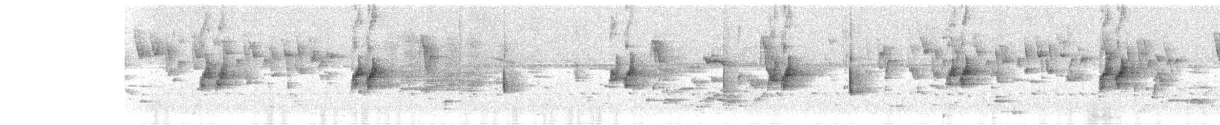 Spectacled Parrotlet - ML636802263