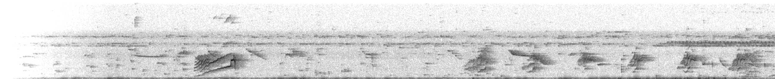 Smooth-billed Ani - ML636802977