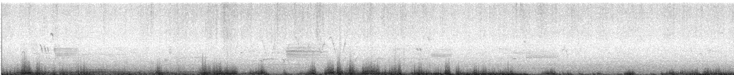 ハマヒメドリ - ML636804348