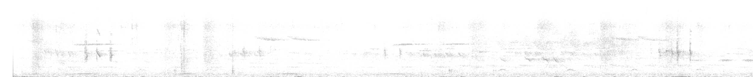 Phasianelle onchall - ML636805763