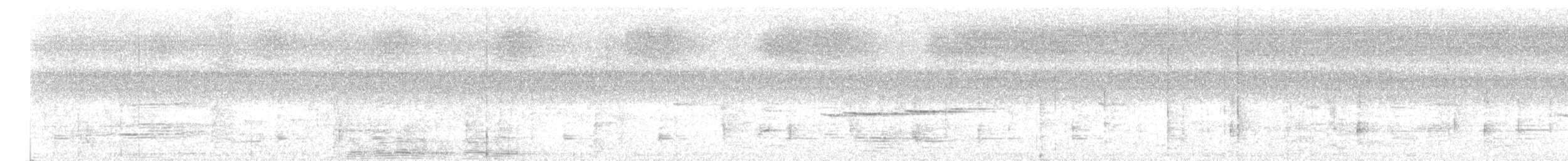 Txioa sp. - ML636806487