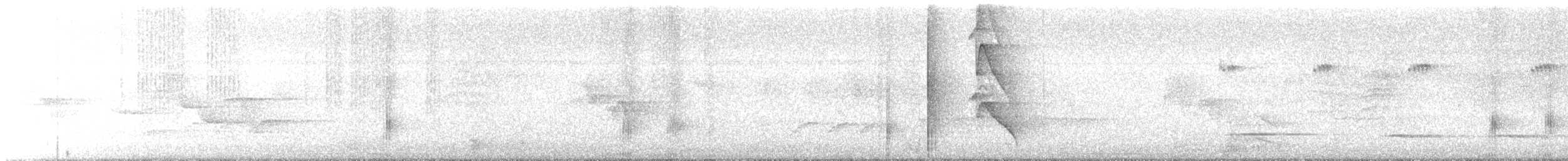 Orange-collared Manakin - ML636806507