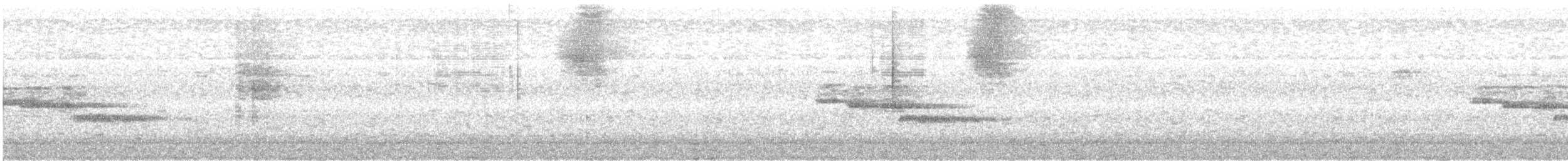 Albert's Lyrebird - ML636808881