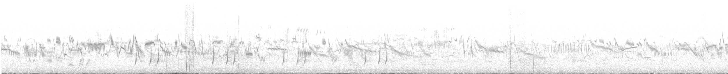 Common Quail - ML636810157