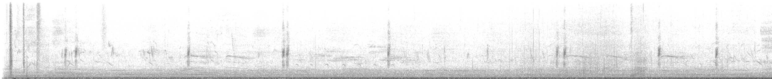 Belted Kingfisher - ML636810505