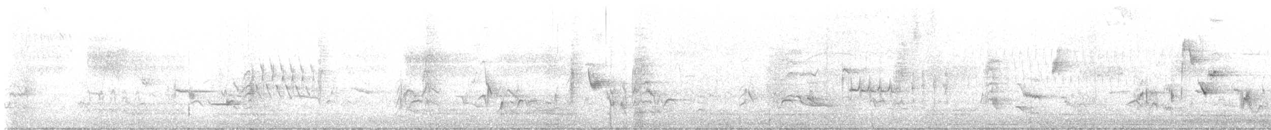 Yellow-rumped Warbler - ML636810642