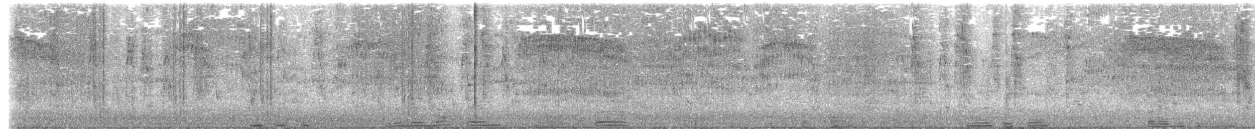 White Ibis - ML636812694