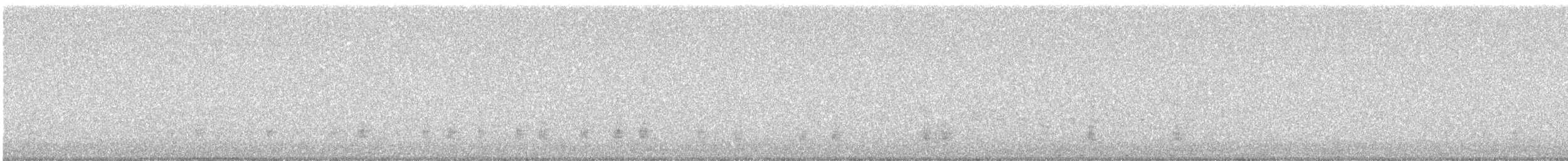 Stockente - ML636812799