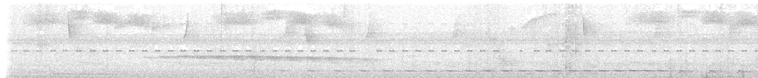 Short-tailed Antthrush - ML636813077