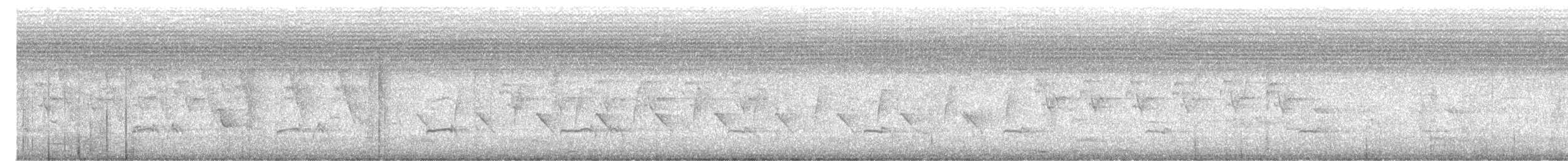 Pied Cuckoo - ML636813319