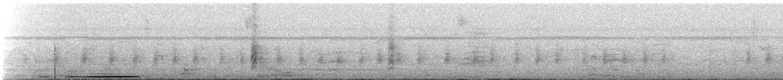 White-tipped Dove - ML636814117