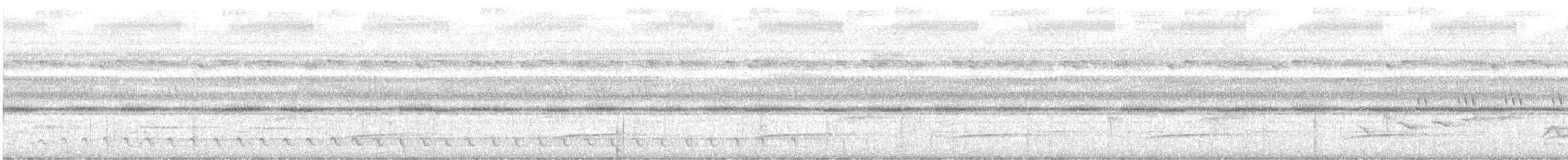 カレハゲラ - ML636815615