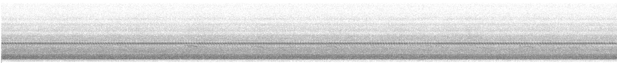ハマシギ - ML636816977