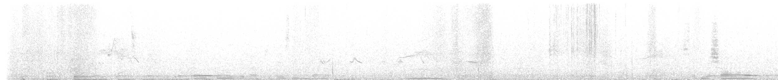 Barred Owl - ML636817928