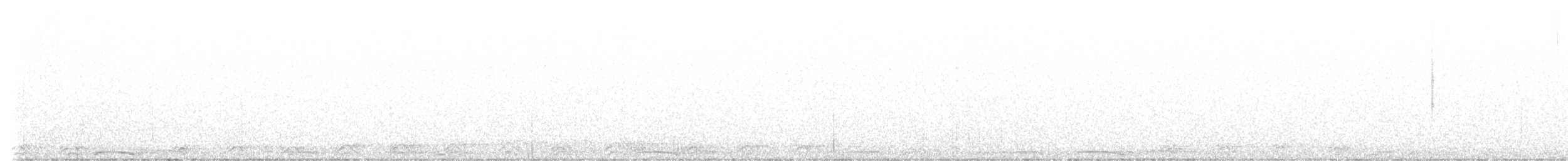 Barred Owl - ML636817929