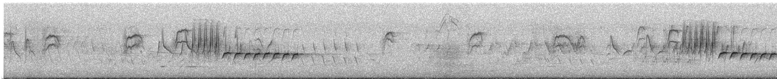 Bewick's Wren - ML636817963